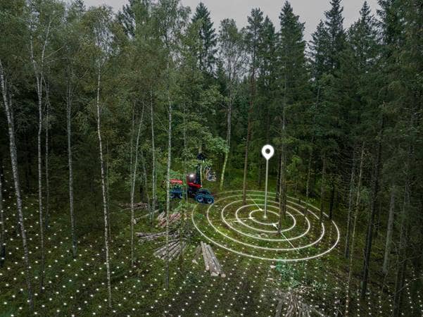 Älykäs metsätalous nostaa Suomen bioekonomian huipulle